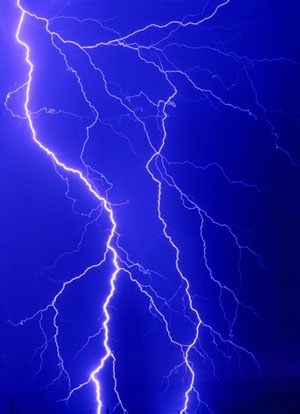 Men hoopt dat KMO-verminderende cellen kunnen beschermen tegen schade van te veel elektrische of chemische stimulatie - ook wel 'excitotoxische sterfte' genoemd