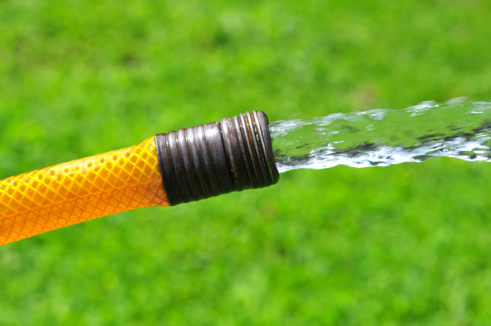 De HD 'pijplijn' bevat veel mogelijke behandelingen in alle ontwikkelingsfasen