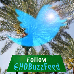 Volg @HDBuzzFeed op Twitter voor live updates van de Conferentie