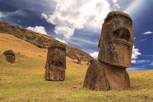 mTORC is in eerste instantie ontdekt als het doel van een antibiotica genaamd ''rapamycin''. Rapamycin was oorspronkelijke geïsoleerd uit een bodemmonster van de Paaseilanden (of ''Rapa Nui'')!