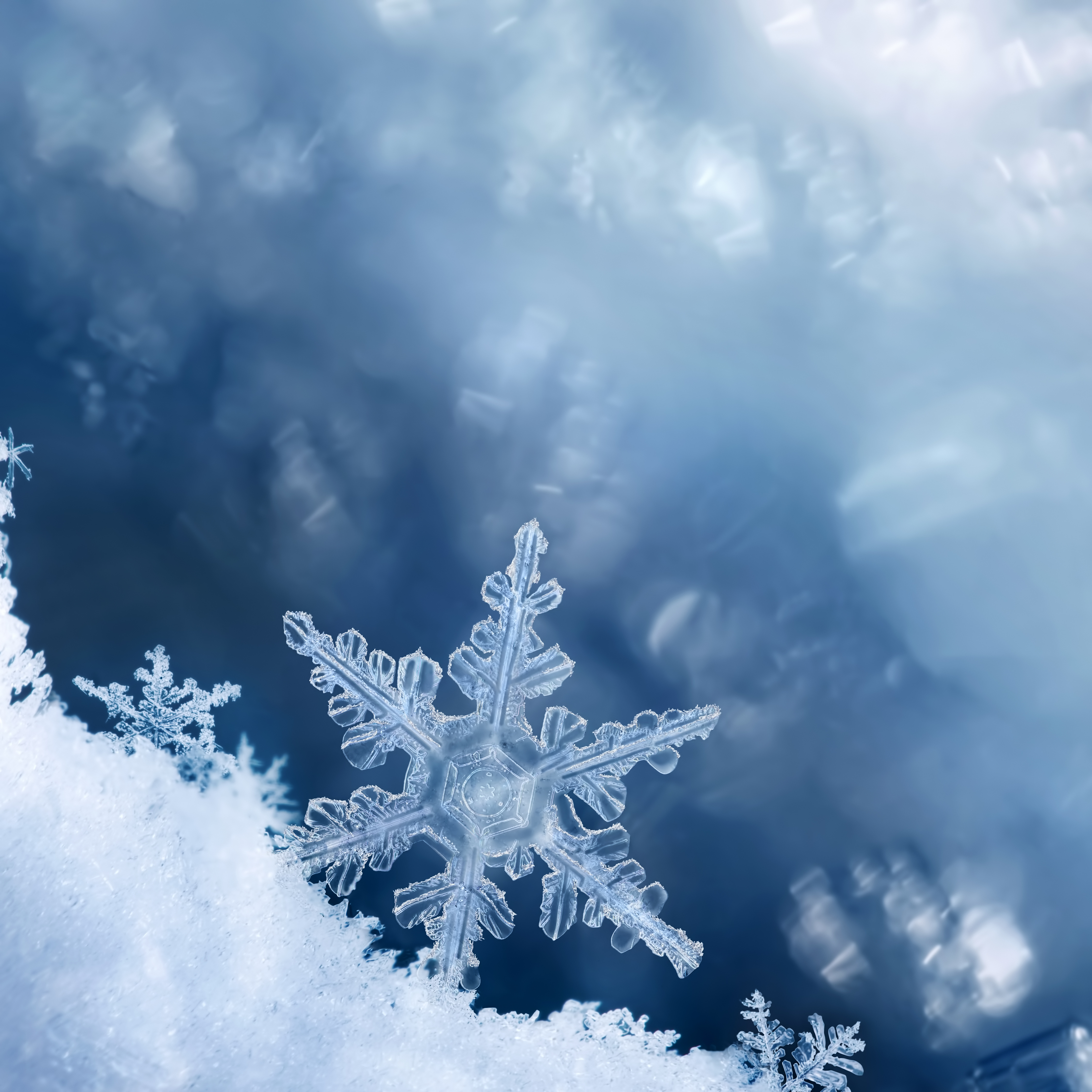 Wetenschap groeit stap voor stap, als sneeuwvlokken die op een berg vallen – klein op zichzelf, maar samen bouwen ze een enorme berg van kennis. Onderzoek naar de ziekte van Huntington lijkt soms langzaam te gaan, maar we zijn al ontzettend ver gekomen en dat heeft echt het hele speelveld veranderd.