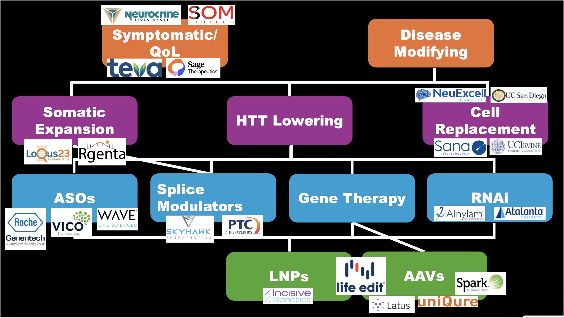 In Sarah's presentatie gaf ze een overzicht van de therapeutische strategieƫn voor de ziekte van Huntington, met in deze dia een samenvatting waarop ook de bedrijven staan vermeld die actief zijn in deze gebieden.