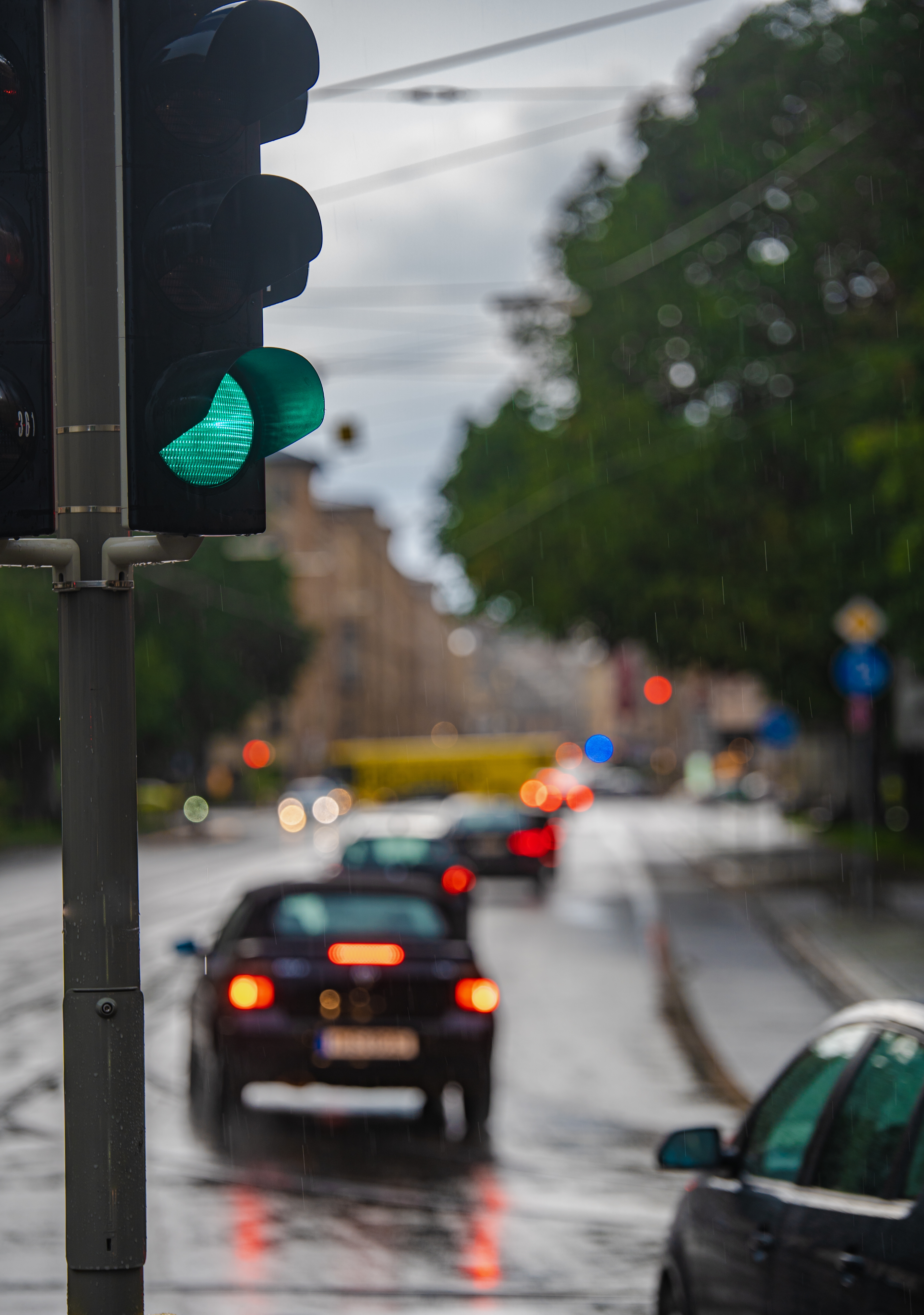 De ZvH kan “groen licht” veroorzaken voor genen die uit zouden moeten staan, vooral in bepaalde hersencellen die het meest kwetsbaar zijn voor de ziekte. De auteurs denken dat dit deels hun gevoeligheid voor de ziekte zou kunnen verklaren.