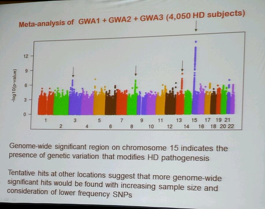 Op deze 'Manhattan plot' zijn Gusella's gegevens van meer dan 4000 patienten te zien. De data doen vermoeden dat er zich een 'genetic modifier' bevindt op chromosoom 15.    