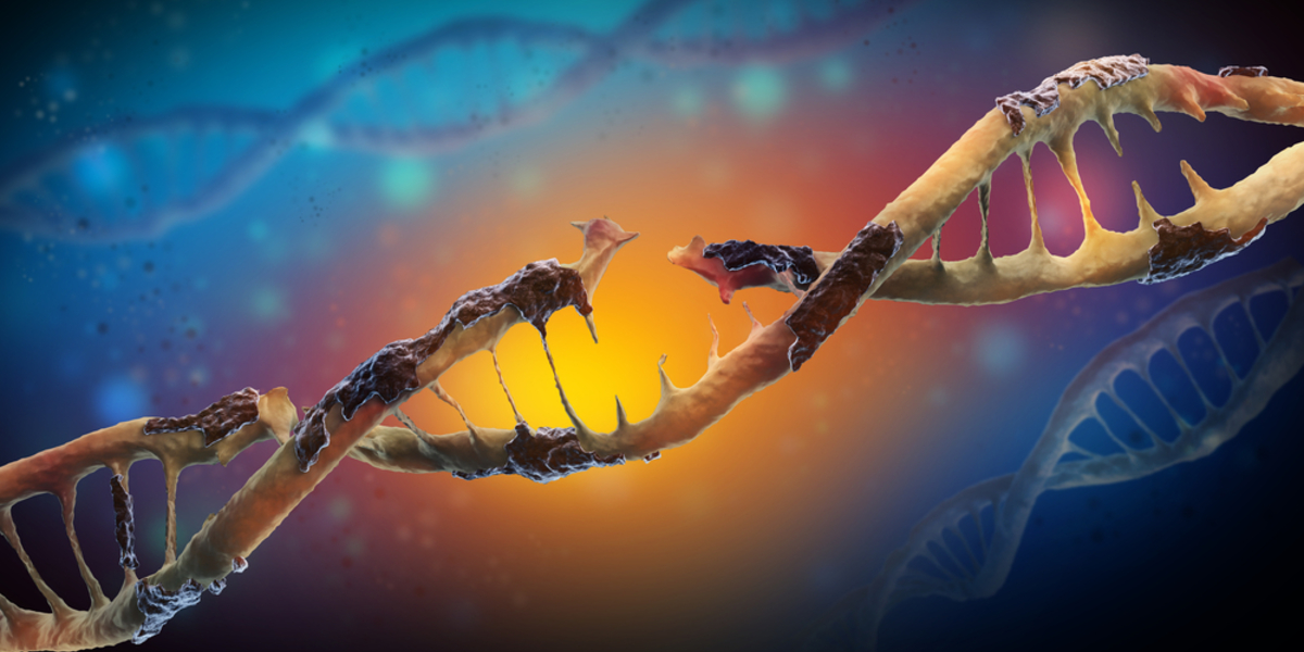 Belangrijke doelwitten voor medicijnen gevonden bij nieuwe genetische studie ZvH