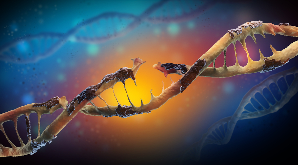DNA schade is een fysieke verandering in het DNA, zoals een breuk in de gedraaide trap, of een onnodige biologische brei die plakt aan de code  
