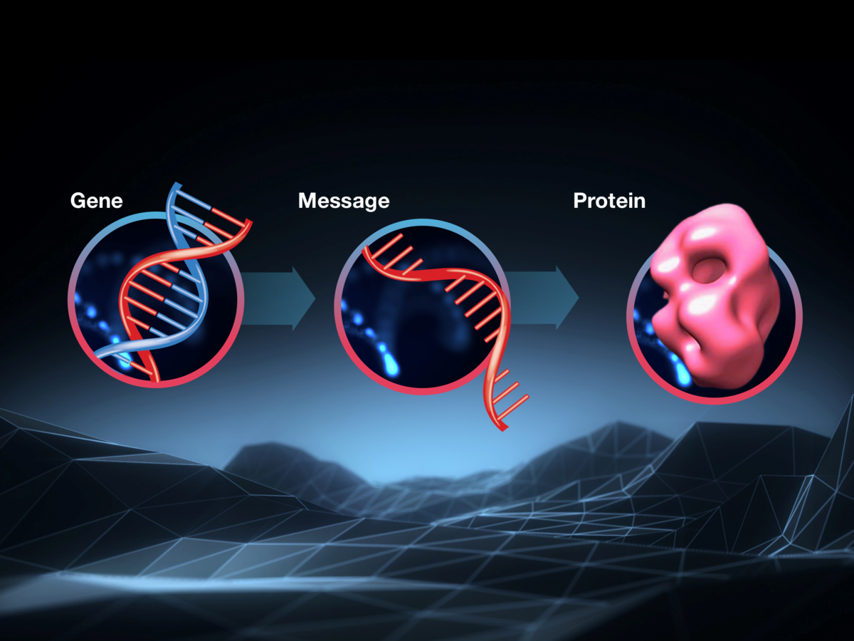 De link tussen DNA, RNA en eiwit, alles wat u moet weten over moleculaire biologie.   