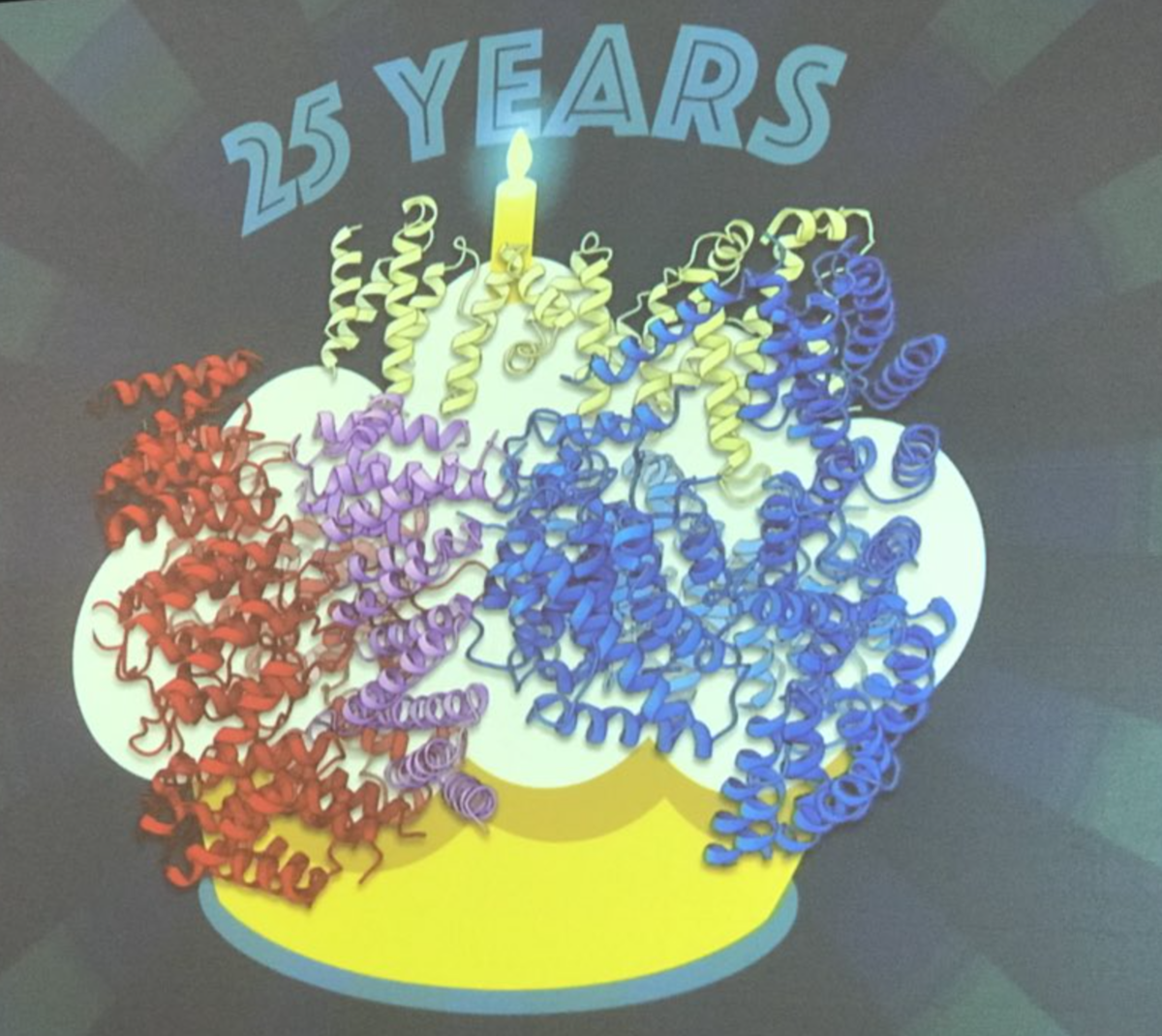 Dr. Kochanek onthulde de structuur van huntingtine (de kronkelige linten) in februari tijdens de conferentie over therapieën, als een verjaardagscadeau aan de ZvH-gemeenschap die de 25-jarige ontdekking van het gen vierde.  