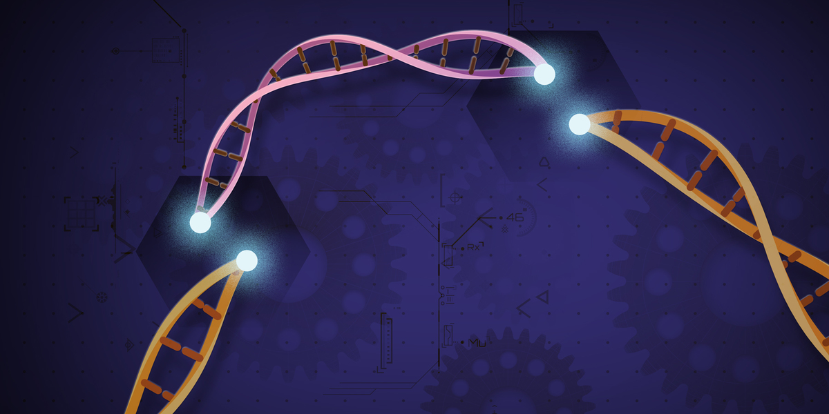 Voorzichtigheid geboden bij genenbewerking met CRISPR-technologie