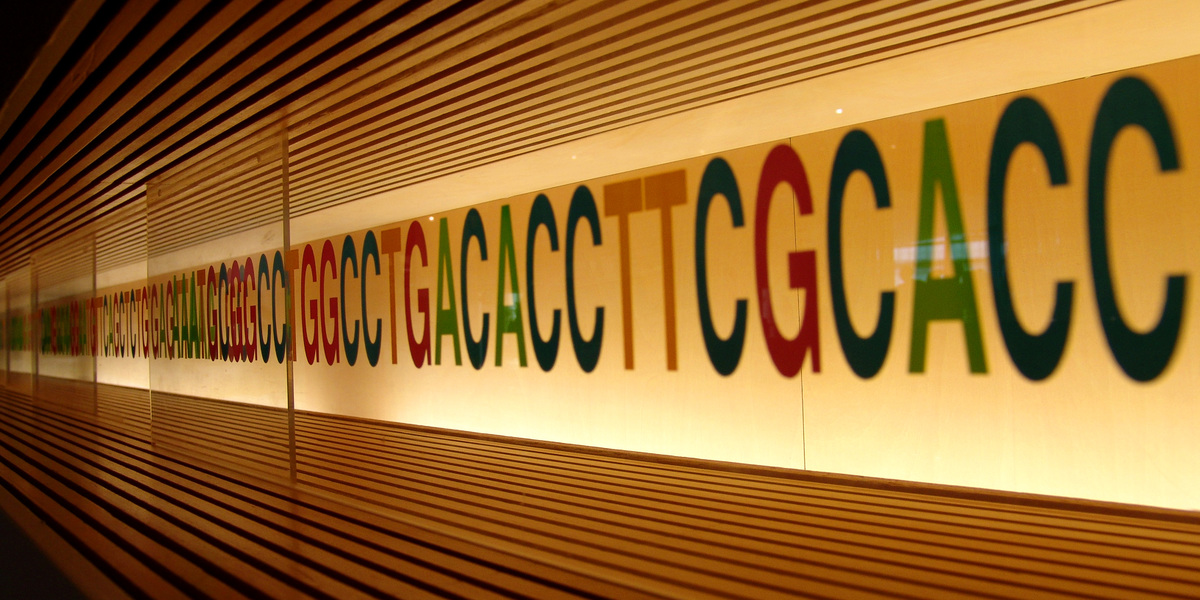 De donkere kant van DNA-herstel blootleggen om behandelingen voor de Ziekte van Huntington te ontwikkelen