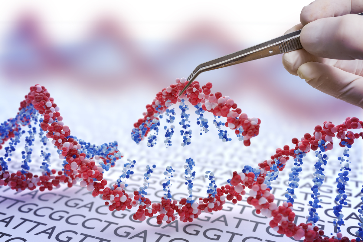 CRISPR is een gen-editing technologie die het mogelijk maakt om een specifiek deel van een DNA sequentie te veranderen. Wetenschappers gebruikten in deze studie CRISPR-therapie om beide versies van het huntingtine gen uit te zetten, waarmee ze de symptomen bij een ZvH muismodel verminderden.   