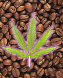 Cafeïne, cannabis en terughoudendheid