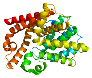 Fosfodiesterase inhibitoren: nieuwe ZvH medicijnen die spoedig de testfase in gaan.