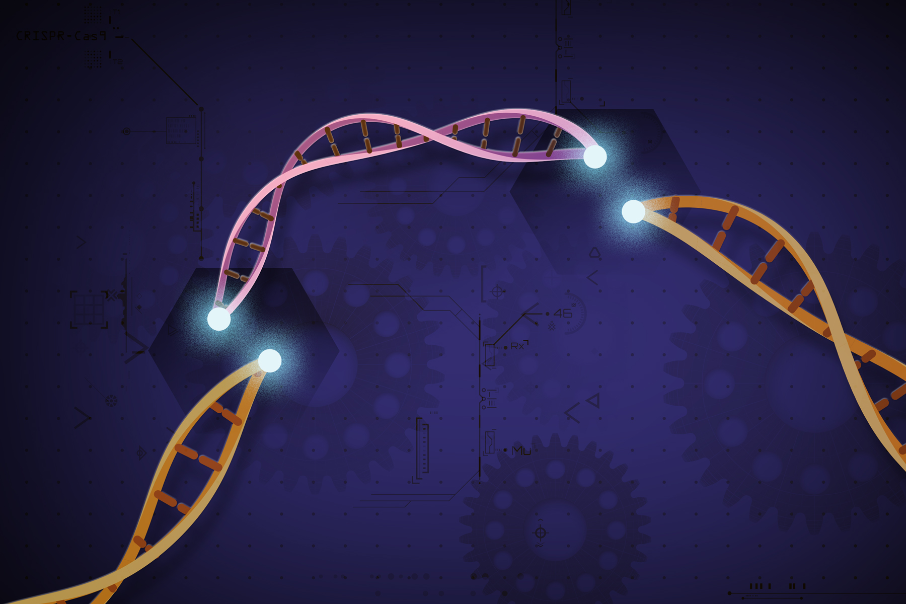 Voorzichtigheid geboden bij genenbewerking met CRISPR-technologie