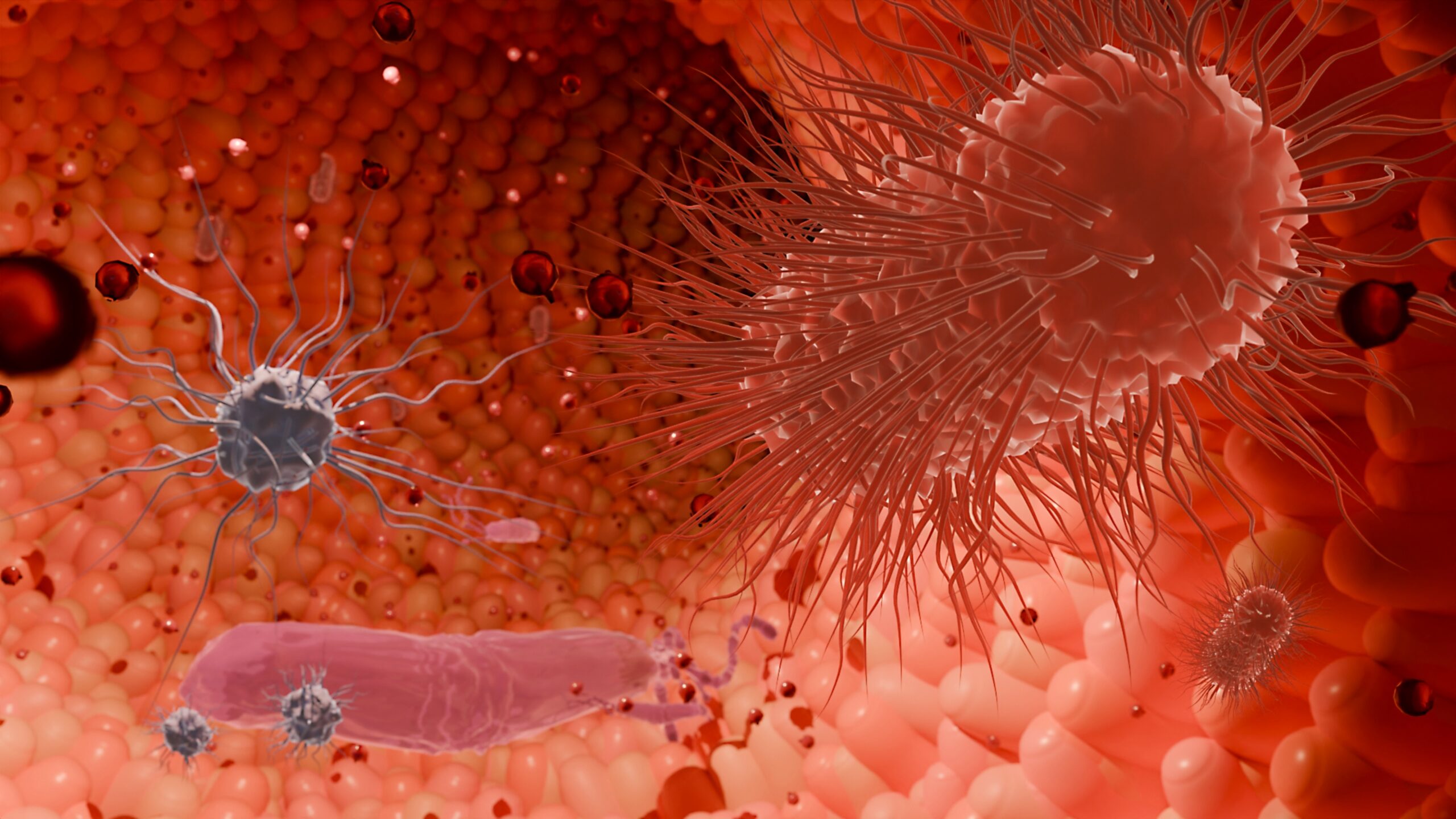 De hersenen voeden via de darmen: hoe prebiotica de ziekte van Huntington kunnen beïnvloeden