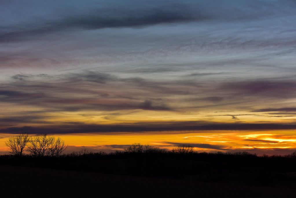 Zwart op wit: oraal medicijn branaplam verlaagde huntingtine, maar zorgen over veiligheid stopten de ontwikkeling