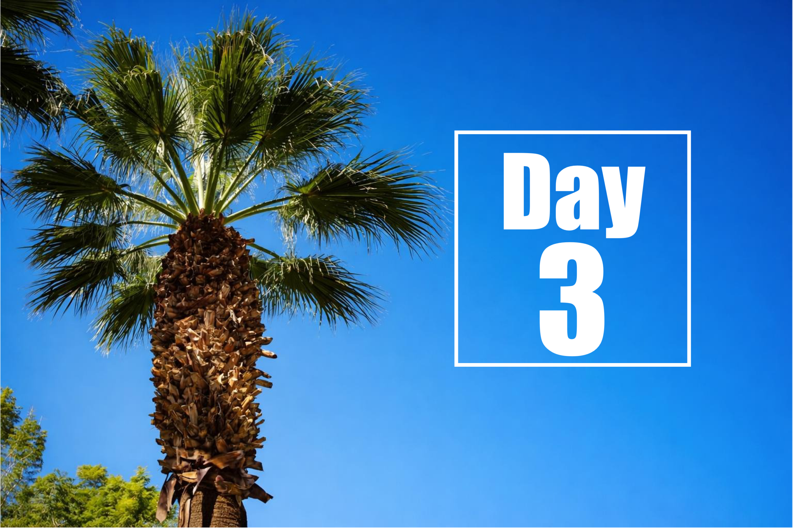 Huntington’s Disease Therapeutics Conference 2026 – Dag 3