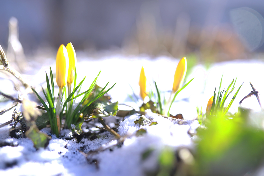 Maart 2026: Deze maand in het onderzoek naar de ziekte van Huntington