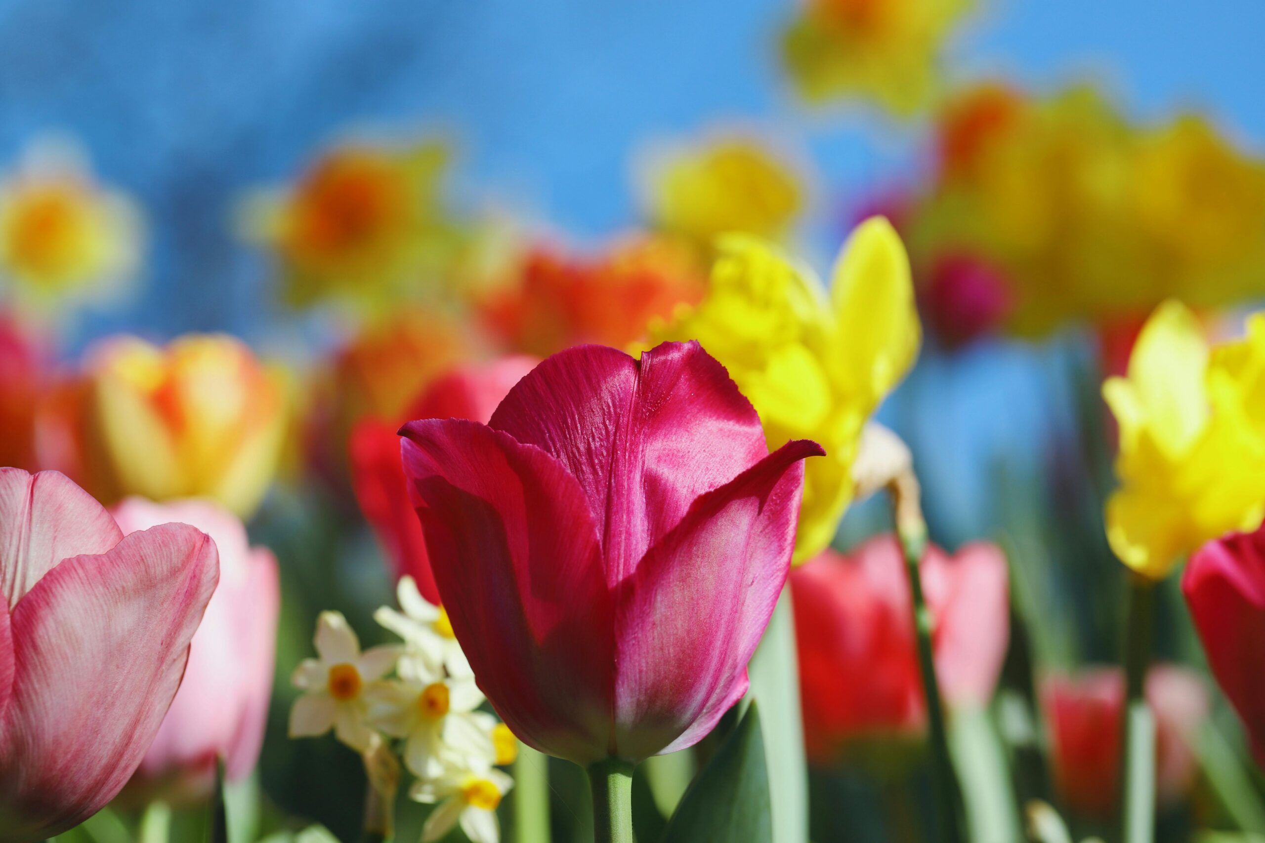 April 2026: Deze maand in het onderzoek naar de ziekte van Huntington